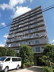 チェスターハウス川口 303