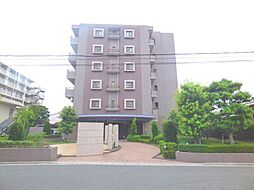 エバーグリーンコート 506