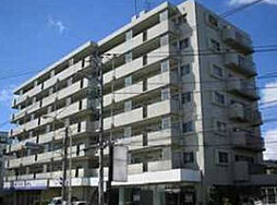 T’s garden蕨III 701