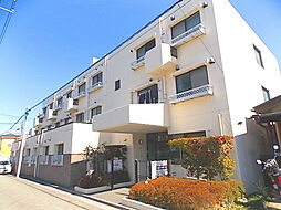 MM　DAIMON 207