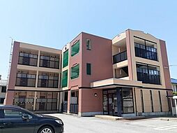 ファウンダー　オブ　ティー 206