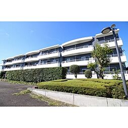 アスピレーション・ロイヤル 204