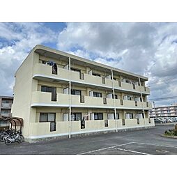 フェリーチェ 105