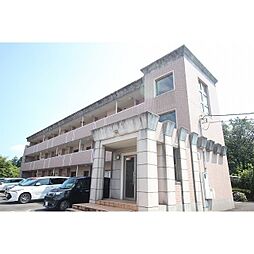 エテルノ・ティエラII 205