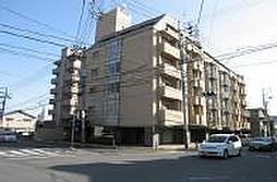 ヒューマンズ沖野上