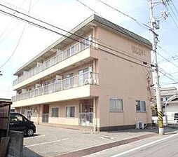コーポ・グローバル