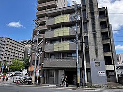 Sun’s Son MINAKUCHI 205