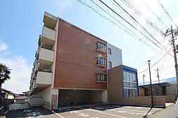 ブループランツ