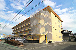 南西ハイツサカモト