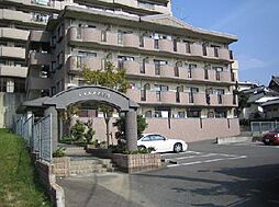 福岡市東区和白丘１丁目