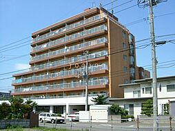 デラシオン協和 307