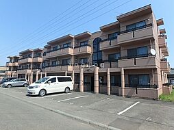 サント・アリオ・デ平和通 207