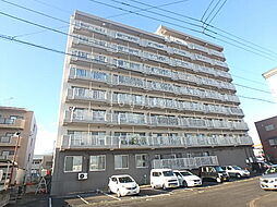 ハイツディオネ 205