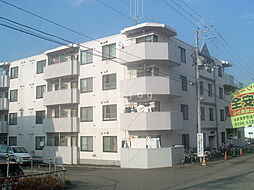 ノースピア白石本通 301