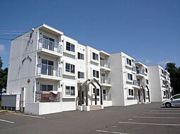 ホワイトハウス 205