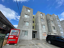 プリマステラ 303