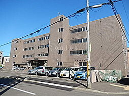 シュープリームコート7 306