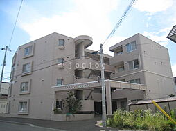 コートサンライズ 101