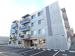 バーニーズ　メルシー 203