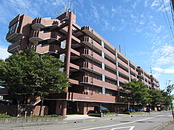 ピュアライフ観音堂 313