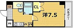 ピュア・ドミトリーシミズ