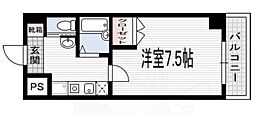 ピュア・ドミトリーシミズ
