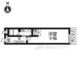 ラナキュラス椥辻