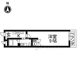 ラナキュラス椥辻