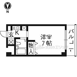 コリンノルド