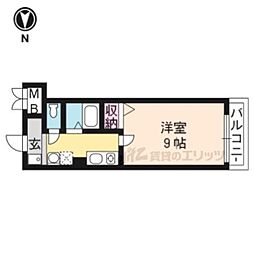 ティーズモモヤマ 505