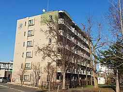 ロイヤルハイツ石北通 1-B