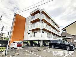 ハイツルピナス 201