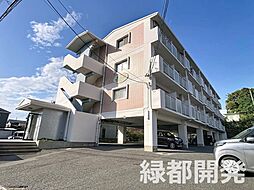 ドリーム・ウィロー・タカラ 405