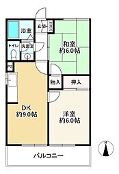 ハイムパピヨン