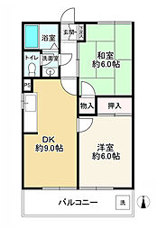 ハイムパピヨン