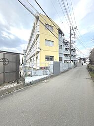 スカイハイムパピヨン