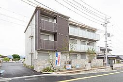 コート グレイス