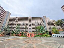 シーズウィッシュ志木