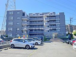 アルブル朝霞