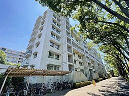 志木ニュータウン東の森壱番街十一号棟