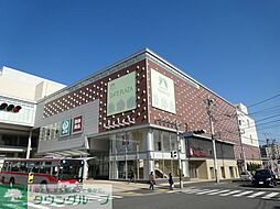 Ｗｉｓｔｅｒｉａ　あざみ野 101