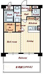 アルファフィオーレ勅使 103号室