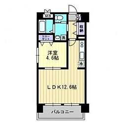 ドマーニ葛島 503号室