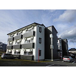 ナチュラルパレスII