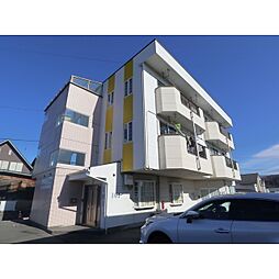 アネックスオオイズミ