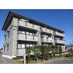 ロイヤルガーデン中島