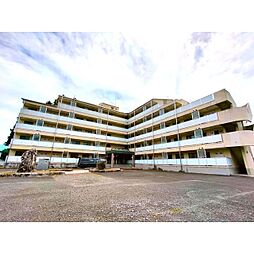 ライトコート青山