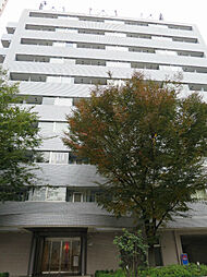 アクシルコート新大橋