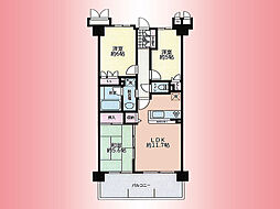 サンクレイドル橋本