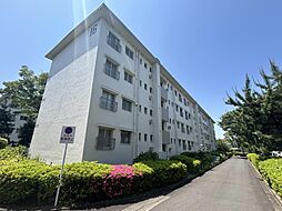 田園青葉台住宅団地　１６号棟 303